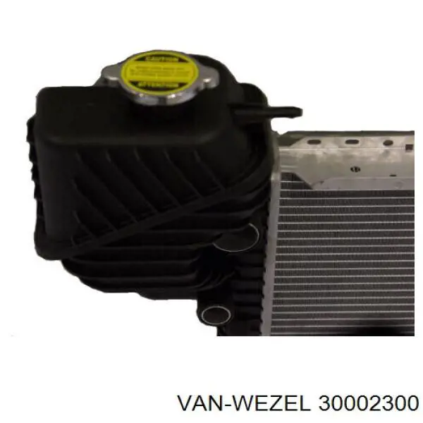 30002300 VAN Wezel радіатор охолодження двигуна