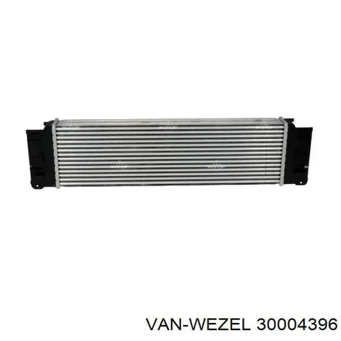 30004396 VAN Wezel радіатор интеркуллера