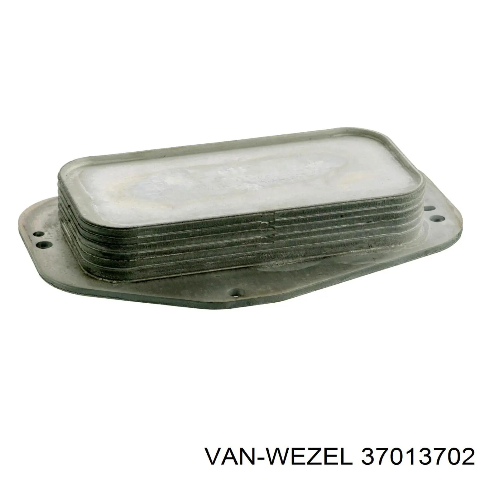 Купити 37013702 VAN Wezel Радіатор масляний