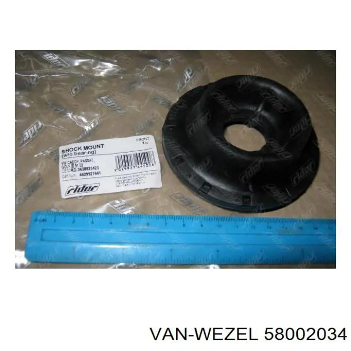 Купити 58002034 VAN Wezel Радіатор двигуна