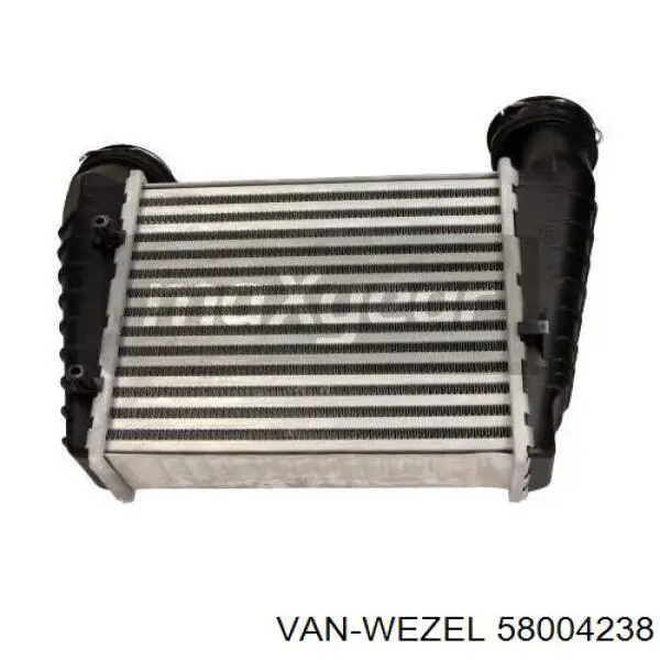 Інтеркулер 58004238 VAN Wezel
