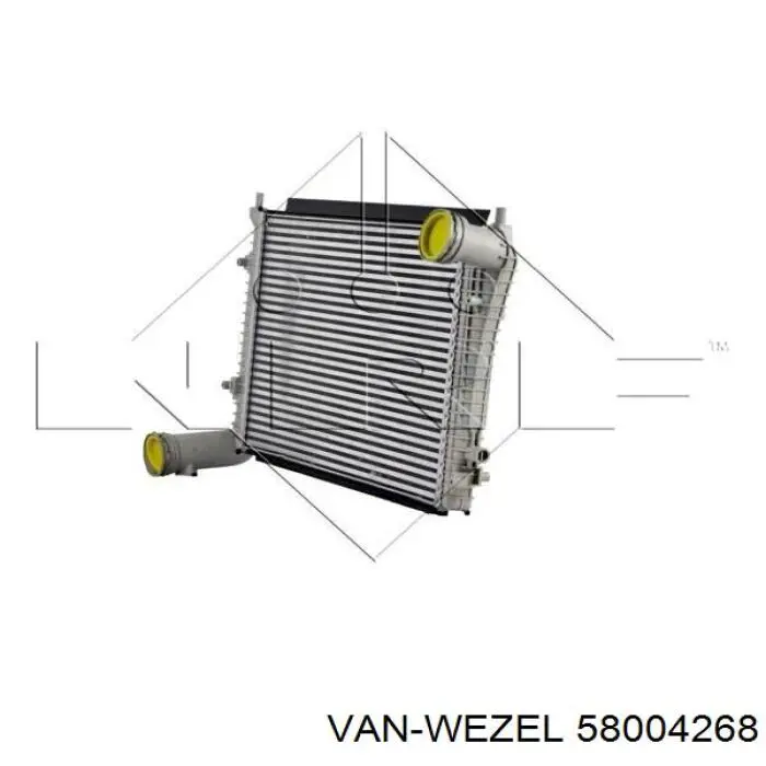 Купити 58004268 VAN Wezel Радіатор интеркуллера