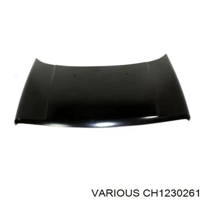 Капот Various CH1230261 ціна, від 230.17 USD