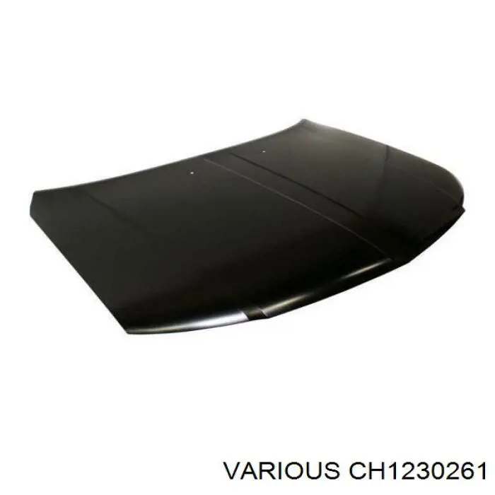 Капот CH1230261 Various