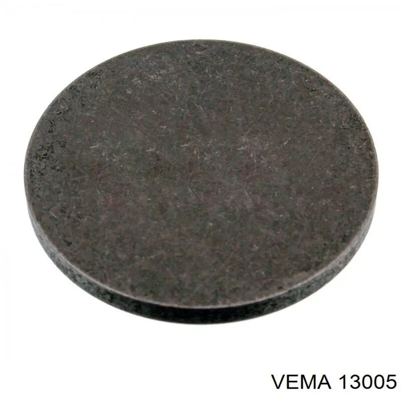  13005 Vema