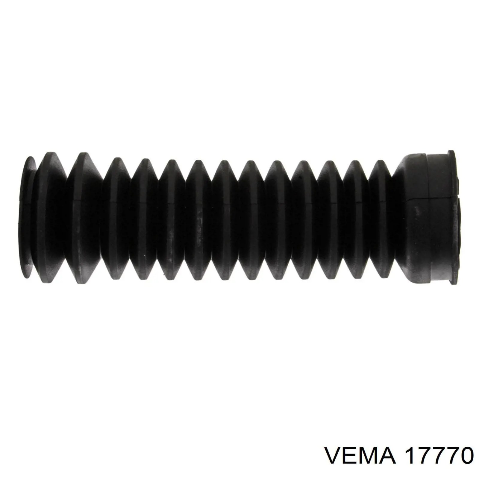  17770 Vema