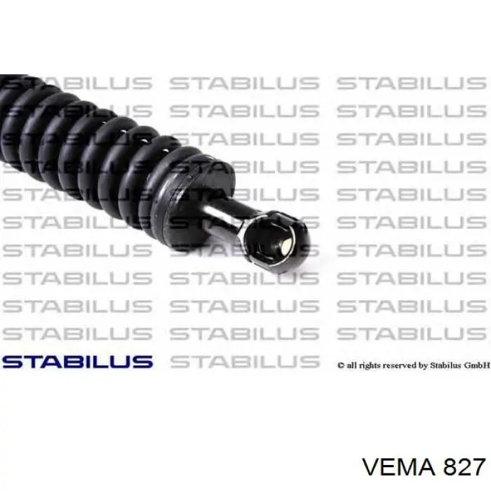 Тришип 827 Vema