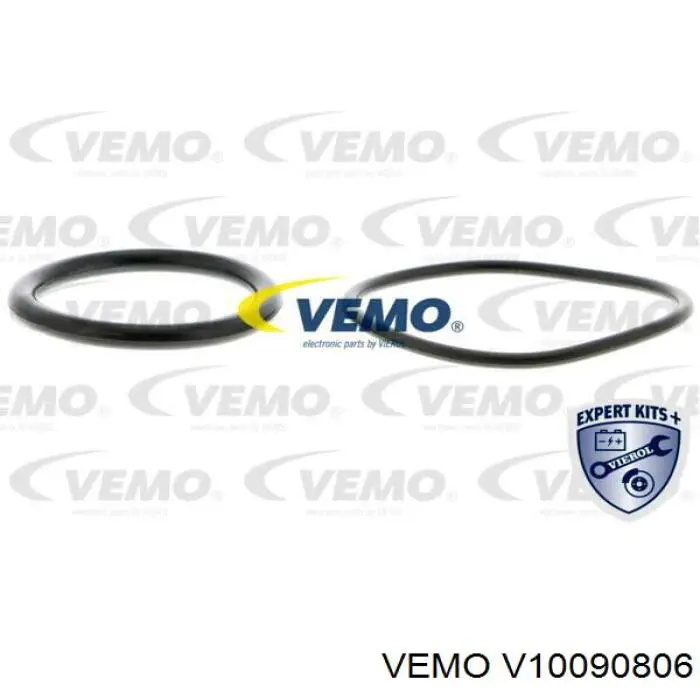 V10090806 Vemo елемент-турбінка паливного насосу