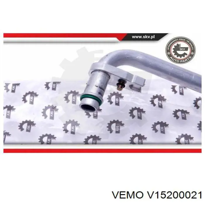  V15200021 Vemo