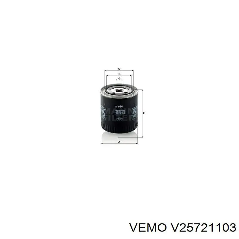V25721103 Vemo датчик тиску палива