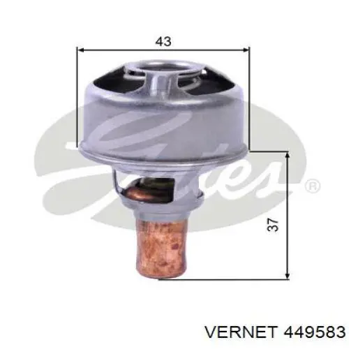 Термостат 449583 Vernet