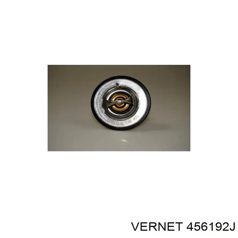Купити 456192J Vernet Термостат в корпусі