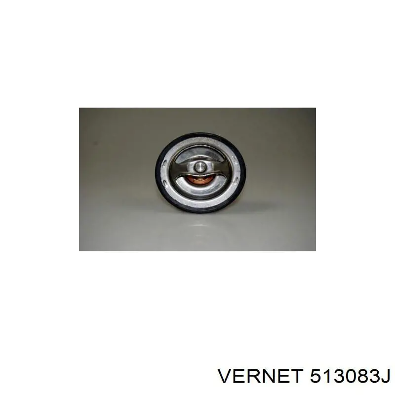 Купити 513083J Vernet Термостат в корпусі