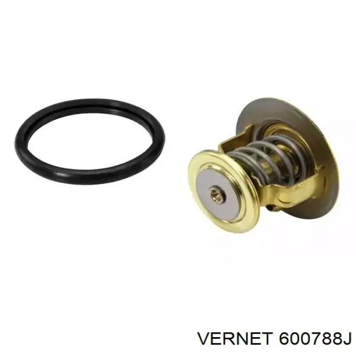 Купити 600788J Vernet Термостат в корпусі