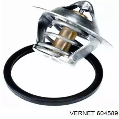 604589 Vernet Авто термостат
