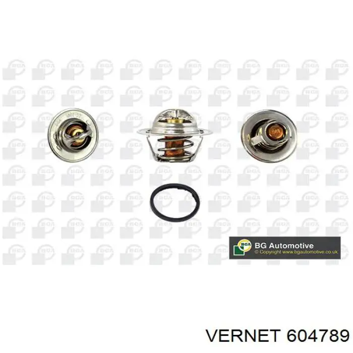 Купити 604789 Vernet Термостат в корпусі