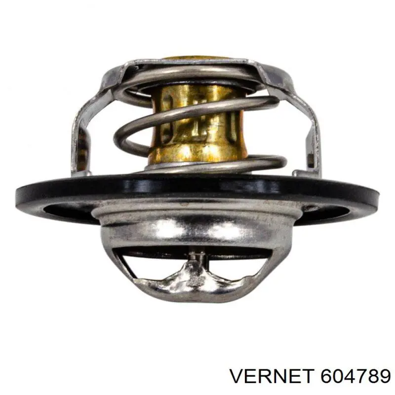 Термостат 604789 Vernet