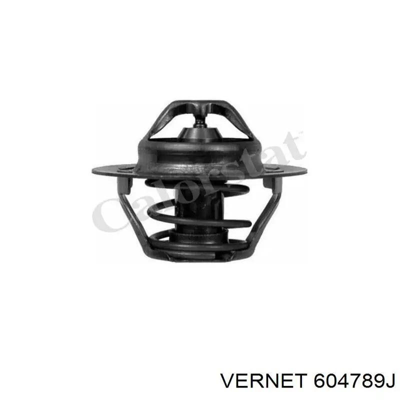 604789J Vernet Авто термостат