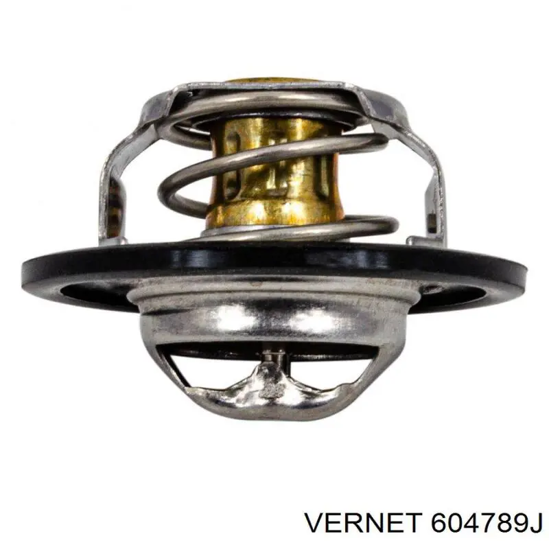 Купити 604789J Vernet Термостат в корпусі
