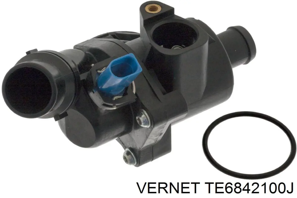 TE6842100J Vernet Корпус термостата в зборі