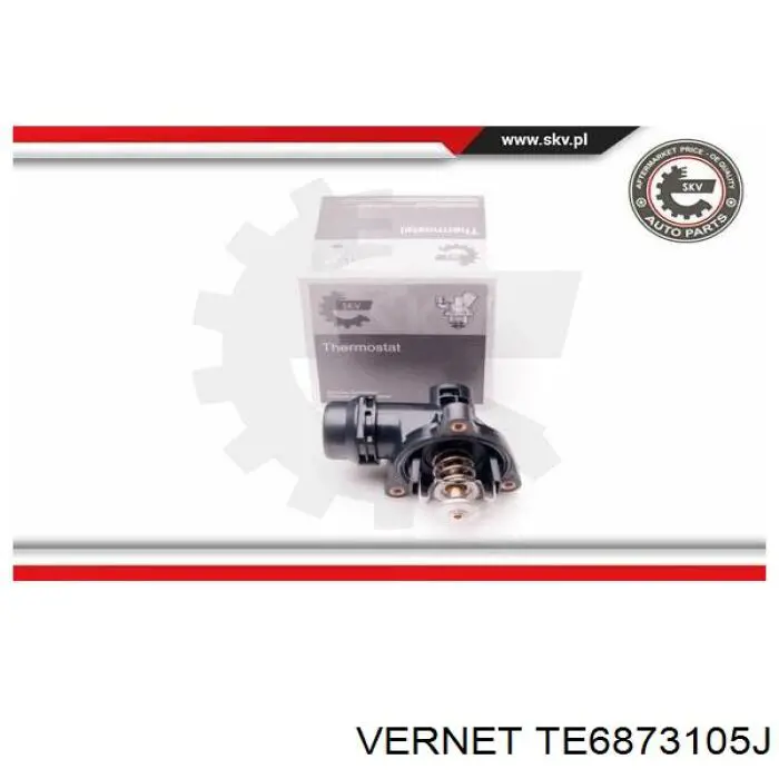 Купити TE6873105J Vernet Термостат в корпусі
