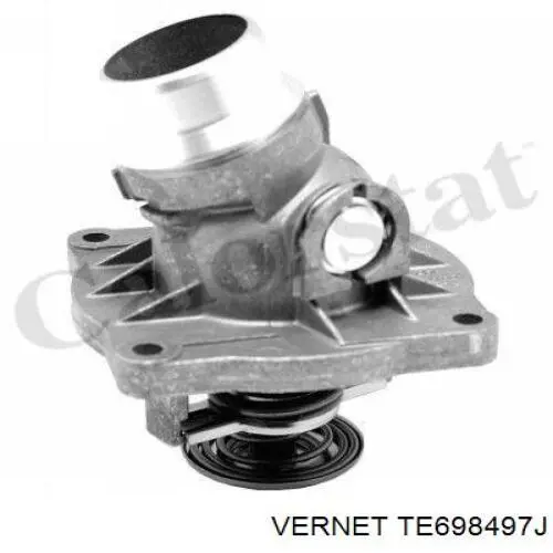 Купити TE698497J Vernet Термостат в корпусі