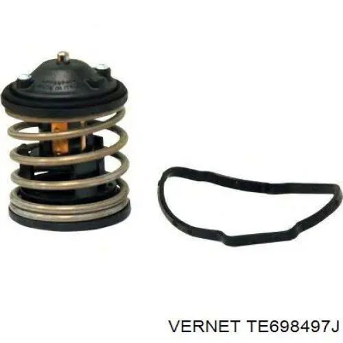 Термостат TE698497J Vernet