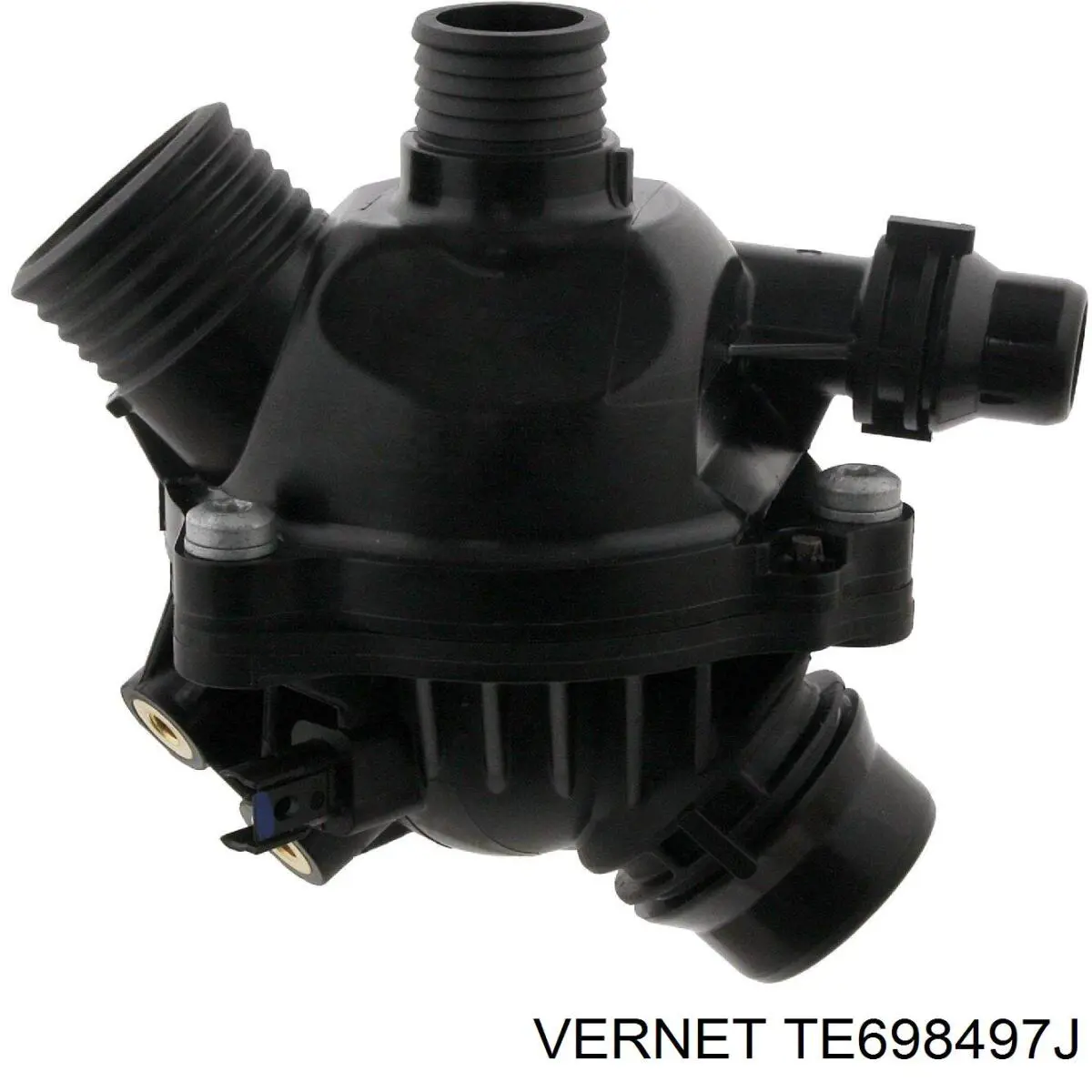 Термостат в зборі Vernet TE698497J