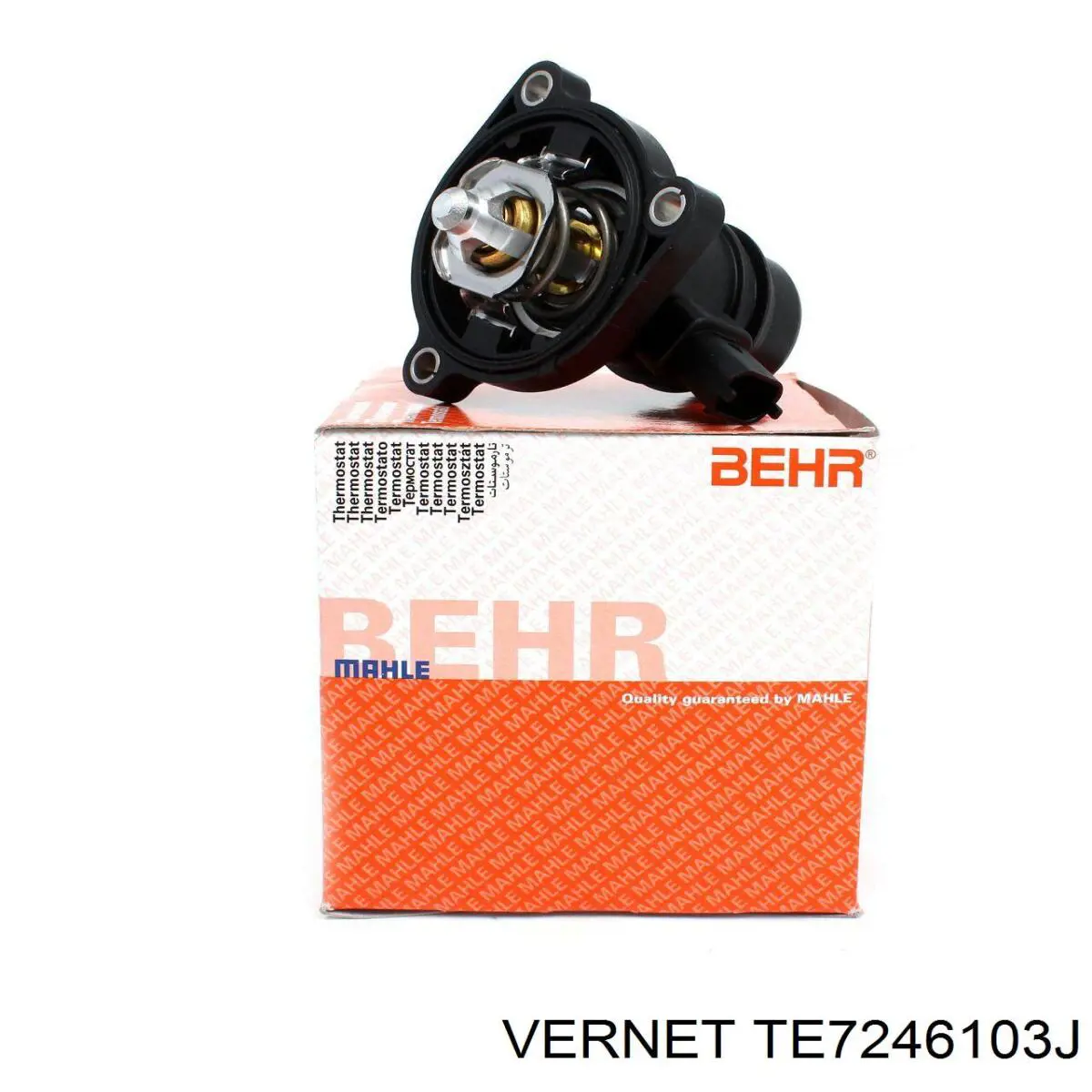 Купити TE7246103J Vernet Термостат в корпусі