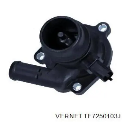 Термостат TE7250103J Vernet