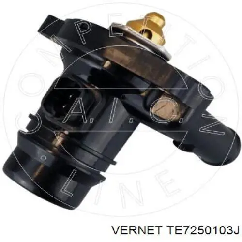 Термостат в зборі Vernet TE7250103J