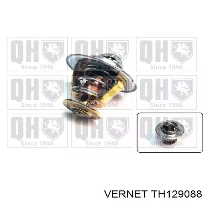 Купити TH129088 Vernet Термостат в корпусі