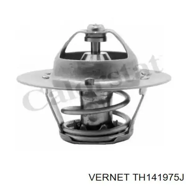 Термостат в зборі Vernet TH141975J
