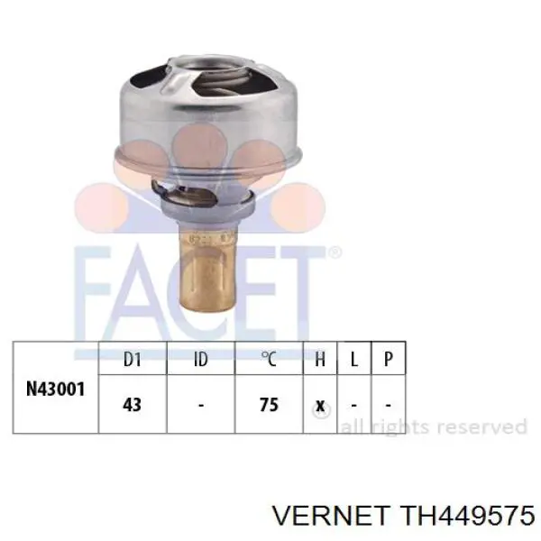 Термостат TH449575 Vernet