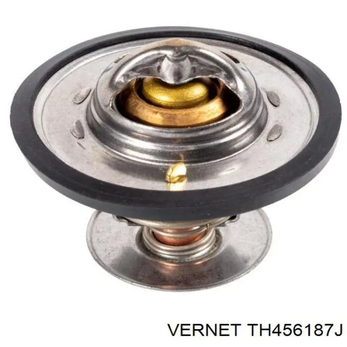 Купити TH456187J Vernet Термостат в корпусі