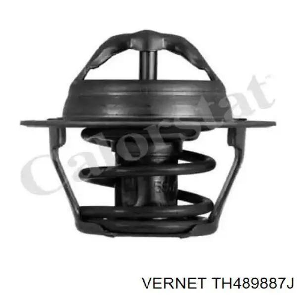 Купити TH489887J Vernet Термостат в корпусі