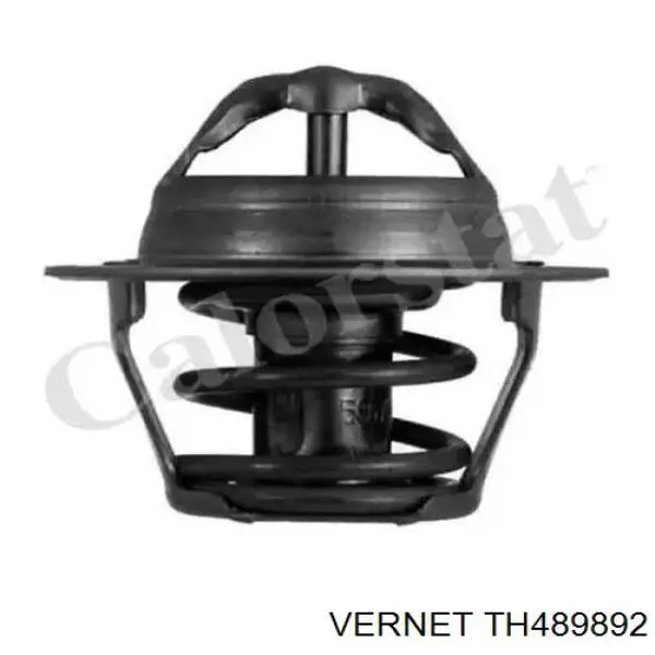 Купити TH489892 Vernet Термостат в корпусі