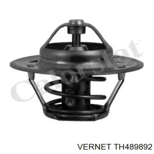 Термостат TH489892 Vernet