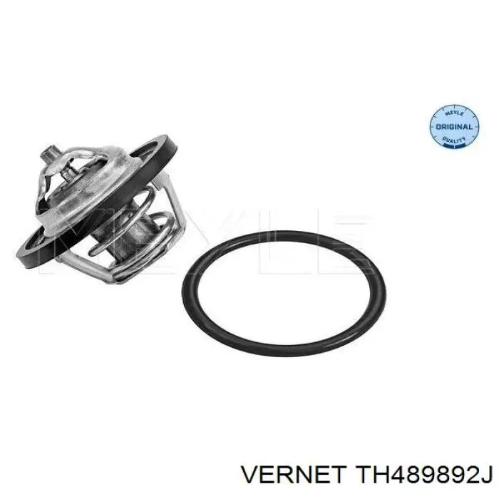 Термостат TH489892J Vernet