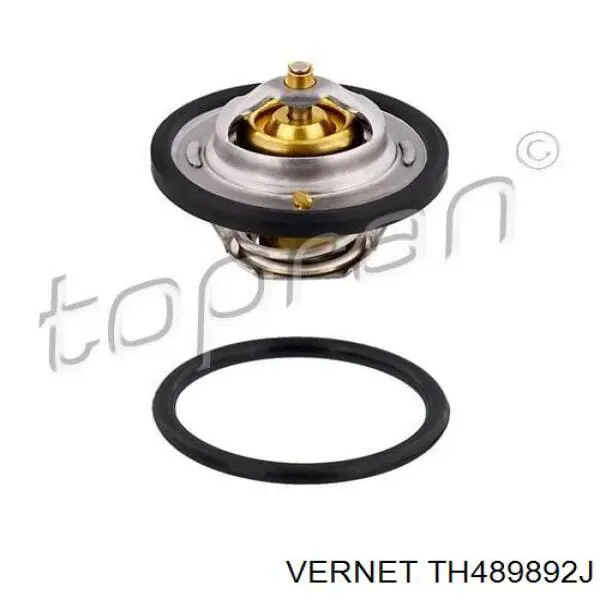 Купити TH489892J Vernet Термостат в корпусі