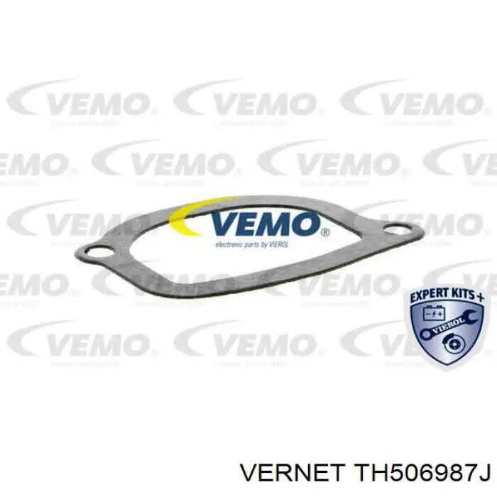 Термостат TH506987J Vernet