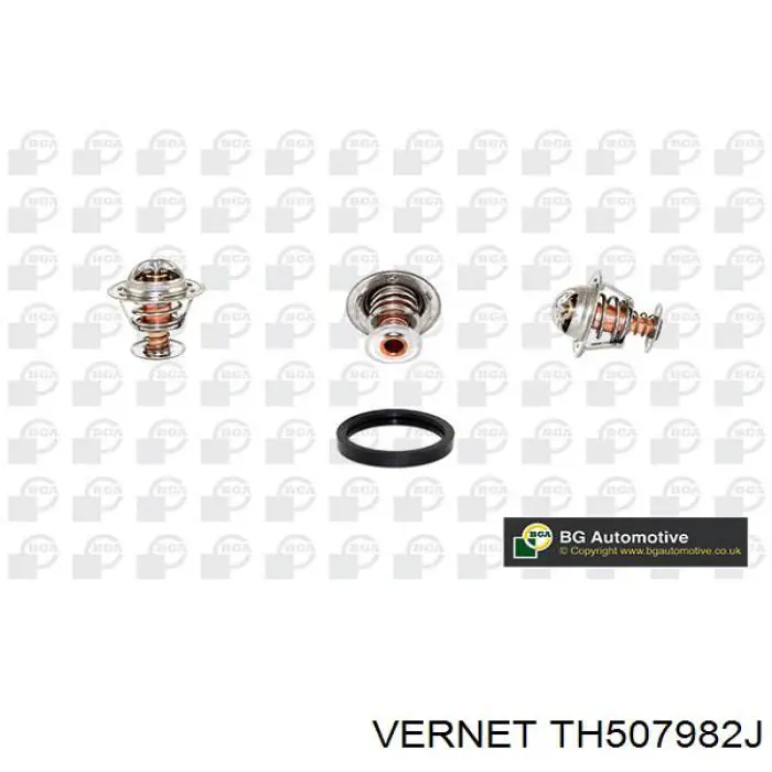 Термостат TH507982J Vernet