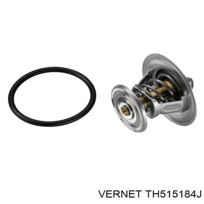 Термостат в зборі Vernet TH515184J