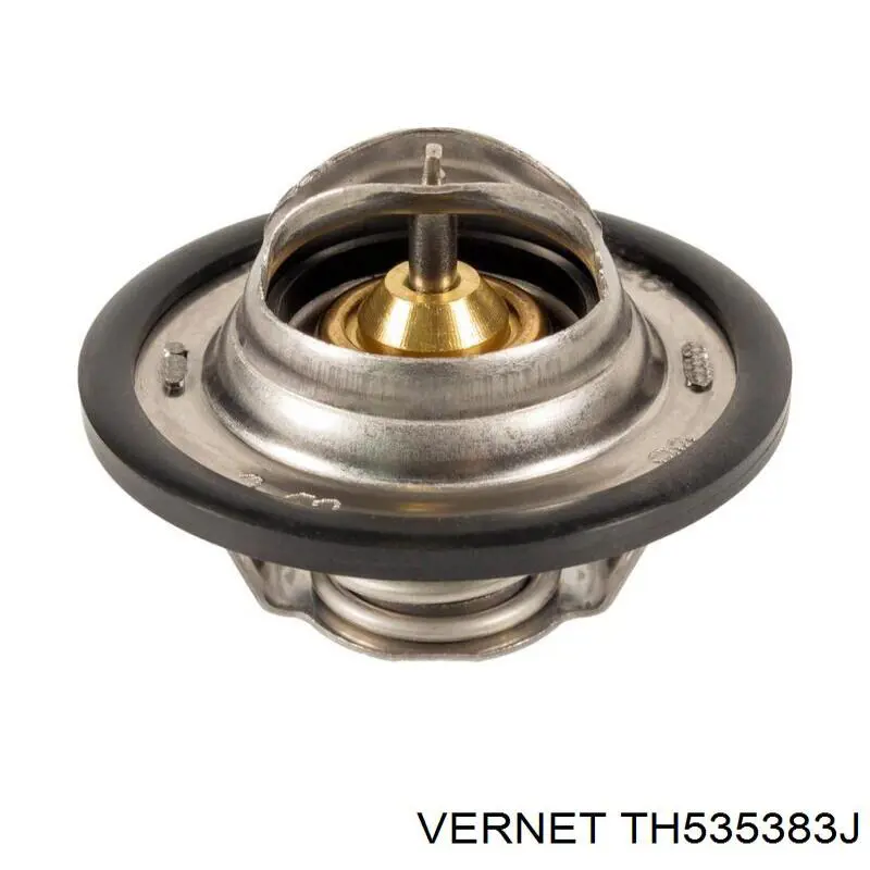 Купити TH535383J Vernet Термостат в корпусі