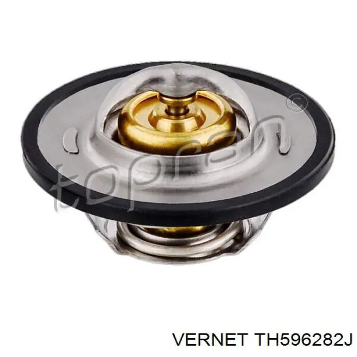 Термостат TH596282J Vernet