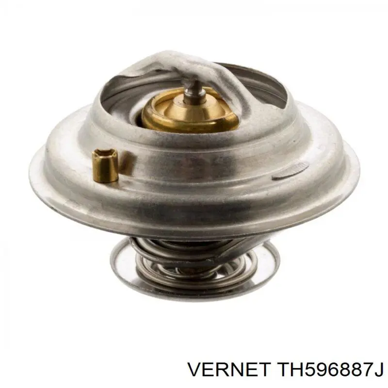 Термостат в зборі Vernet TH596887J
