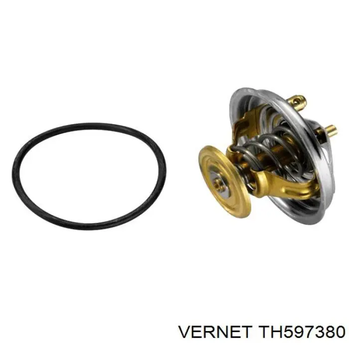 Термостат TH597380 Vernet