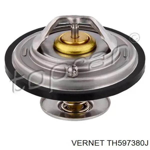 Купити TH597380J Vernet Термостат в корпусі