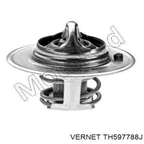 Купити TH597788J Vernet Термостат в корпусі