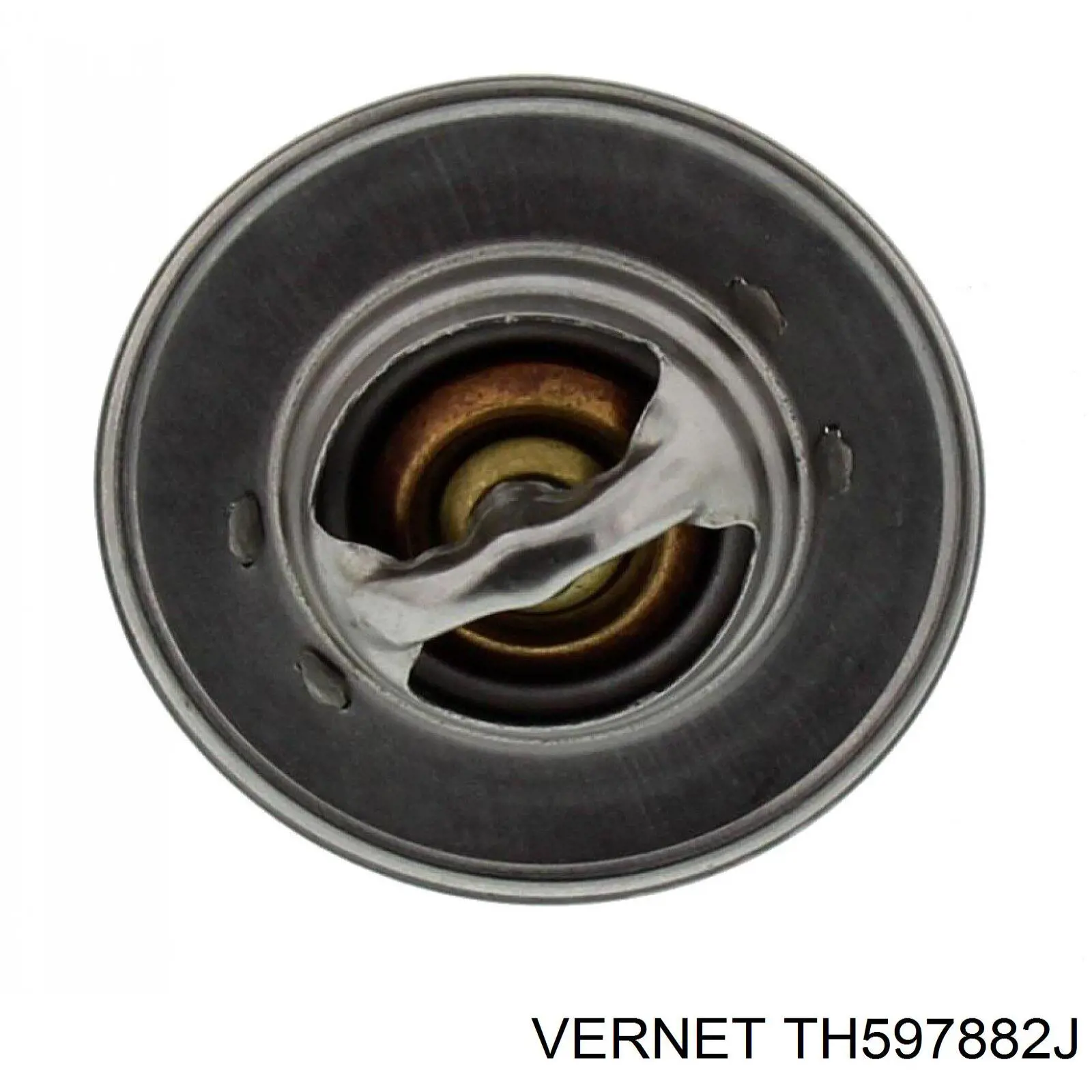  DAF 1668305 ціна, від 474.82 USD
